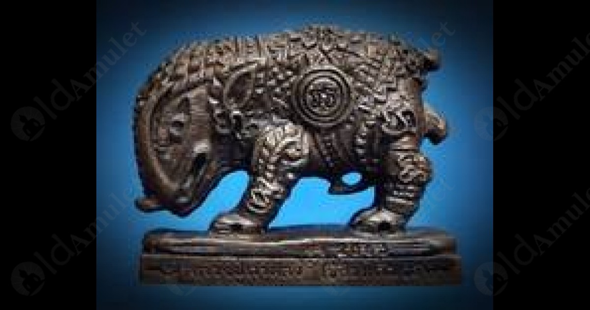 Pig Amulets (PhaYa Moo)