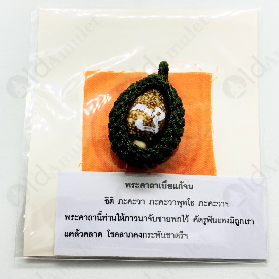 Thai Amulet Beakae Holy Shell Good Lift Protection 1 Takrud Lp Hong BE.2546