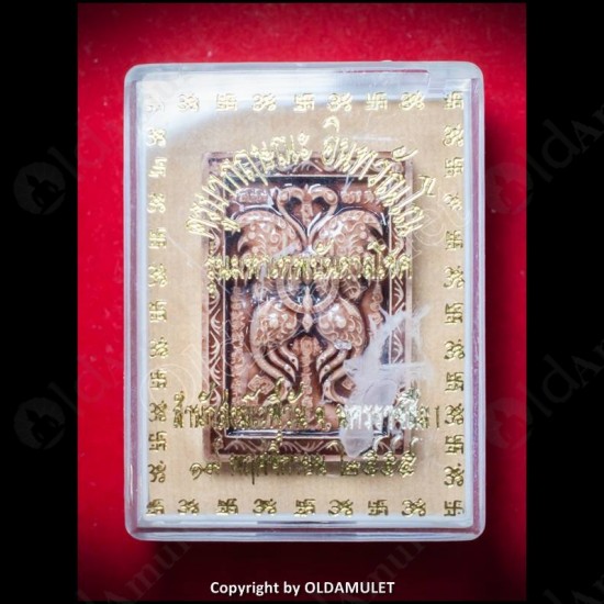 THAI AMULET BUTTERFLY+SPIDER CHARMING BROWN COLOR SMALL KB KRITSANA 2012