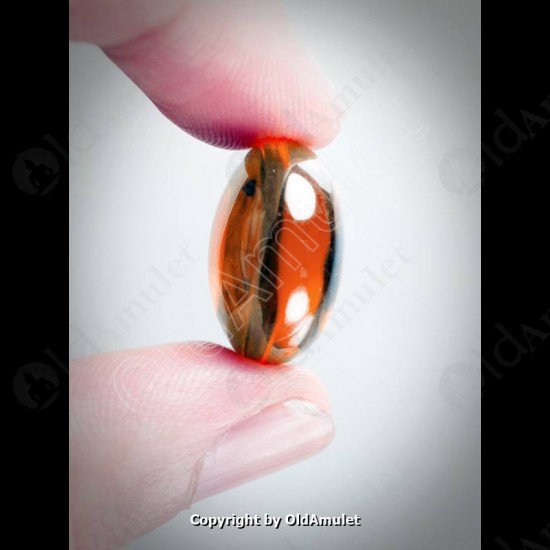 Orange Round Naga-eye Thai Holy Real Amulet Gemstone 100%authentic Size-m