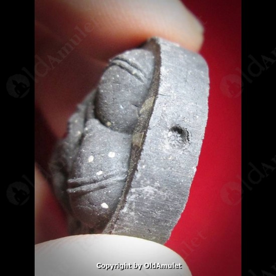 THAI AMULET PID-TA CLOSED EYE 2TAKROOT BLACK POWDER MIXED LP KOON 2556