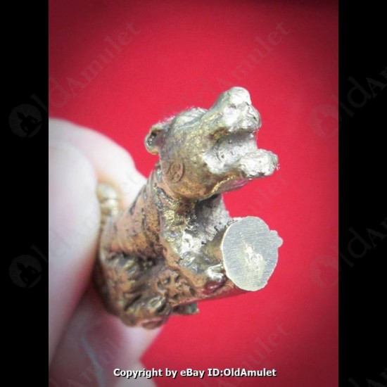 THAI AMULET TIGER BRONZE MIXED LOVE SEX ATTRACTION LP AJAN O 2556