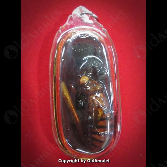 THAI AMULET KUBA THEPMUNI WEALTHY WASP IN HOLY OIL SMALL SIZE B.E.2553