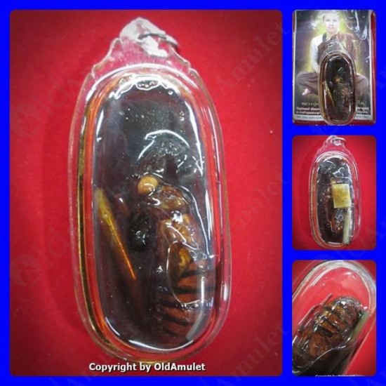 THAI AMULET KUBA THEPMUNI WEALTHY WASP IN HOLY OIL SMALL SIZE B.E.2553