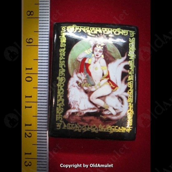 THAI AMULET 9TAILS FOX +TAKUD CHARMING BIRD LOVE ATTRACTION LP INN 2556