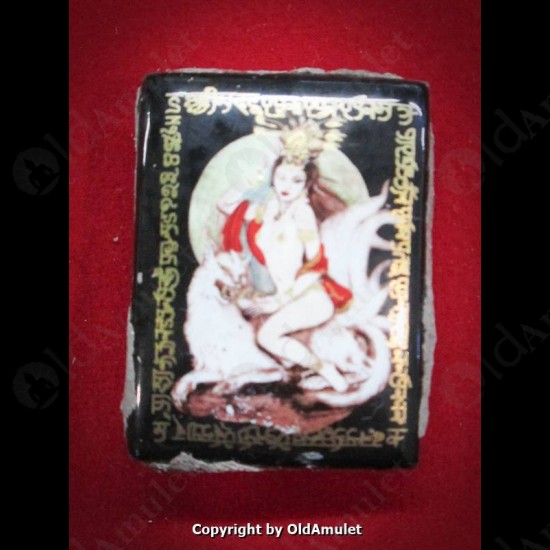 THAI AMULET 9TAILS FOX +MULTI TAKUD +OIL SEX LOVE ATTRACTION LP INN 2556