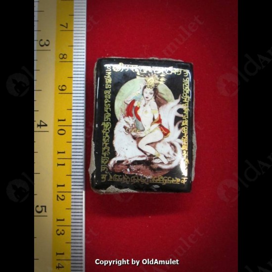 THAI AMULET 9TAILS FOX +MULTI TAKUD +OIL SEX LOVE ATTRACTION LP INN 2556