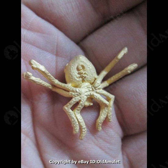 THAI AMULET HOLY RICH SPIDER WEALTHY GOLD COLOR BIG LP KEY 2556