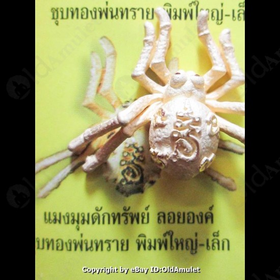 THAI AMULET HOLY RICH SPIDER WEALTHY GOLD COLOR BIG LP KEY 2556