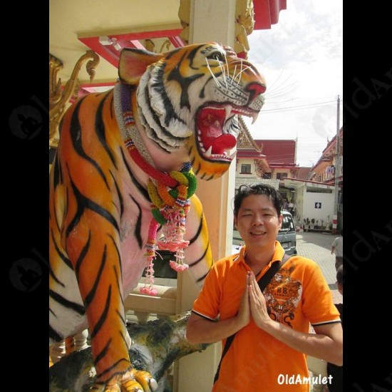 Thai Amulet Statue Tiger Bronze Paint White Bucha Lucky Ball LP PERN 2557