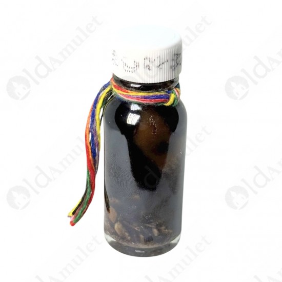 Bone with Holy Oil NMP Thai Amulet Love sex attraction Ajan Perm Praidam BE.2568