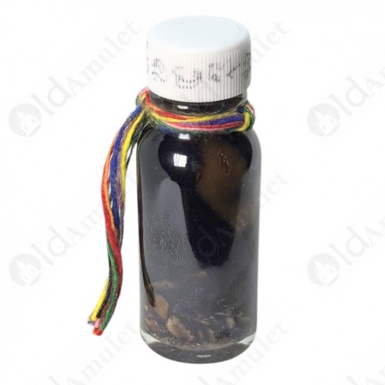 Bone with Holy Oil NMP Thai Amulet Love sex attraction Ajan Perm Praidam BE.2568