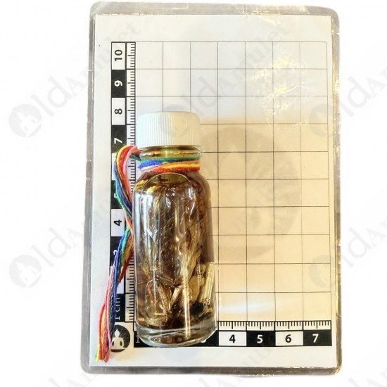 Flower in Holy Oil NMP Thai Amulet Love sex attraction Ajan Perm Praidam BE.2568