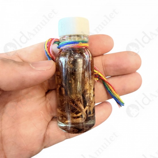 Flower in Holy Oil NMP Thai Amulet Love sex attraction Ajan Perm Praidam BE.2568