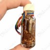 Flower in Holy Oil NMP Thai Amulet Love sex attraction Ajan Perm Praidam BE.2568